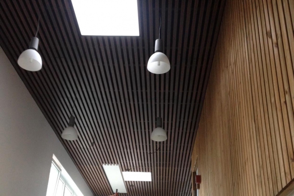 plafonds-bois-chateau-d-olonne-piscine-plafond-bois-holding-pichaud-vinet8009EAAE-32BA-AAD0-57F7-B97D43250732.jpg