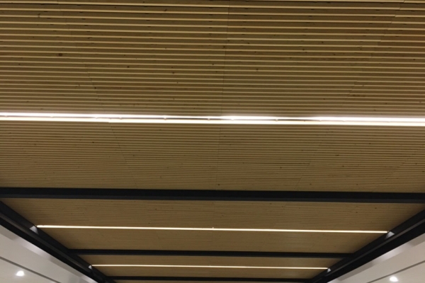 plafonds-bois-salle-herbauges-les-herbiersB231534E-4869-99E1-0A6C-A2D0ED7F16F0.jpg